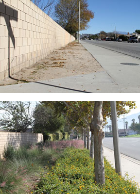neighborhood beautification before/after photo.