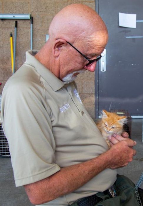 Volunteer comforting a kitten.