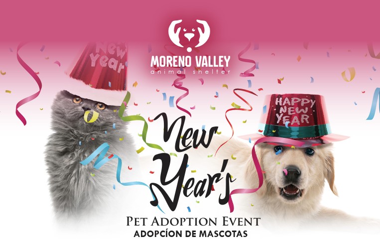 New Year's Pet Adoption Event