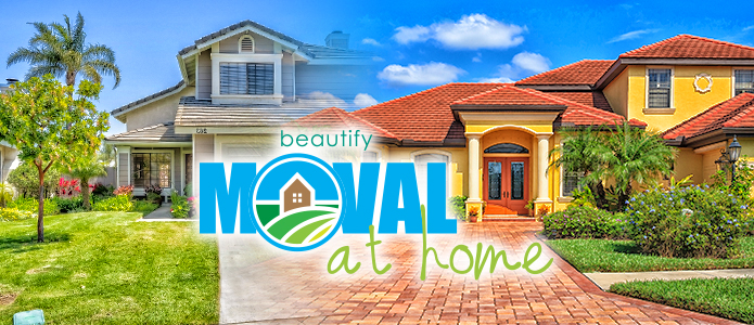 Beautify MoVal at home image of two houses