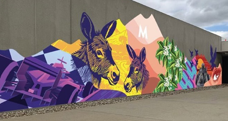 Harmony in the Valley