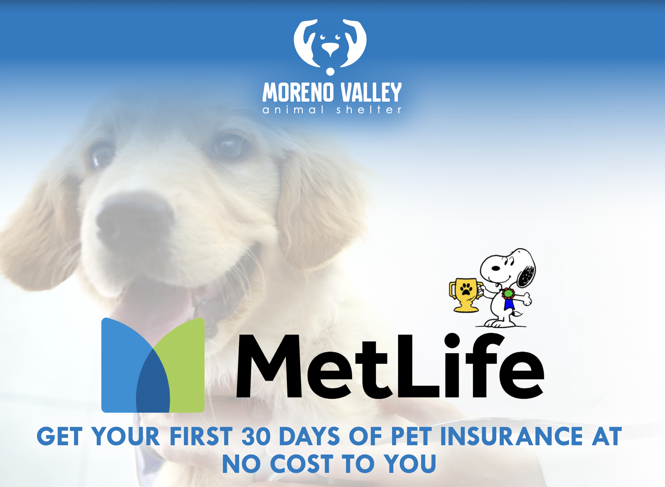 MetLife Pet Insurance Coverage photo